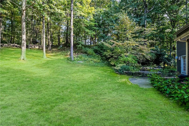 30 Hilltop Rd, Waccabuc, NY 10597 - view of green lawn