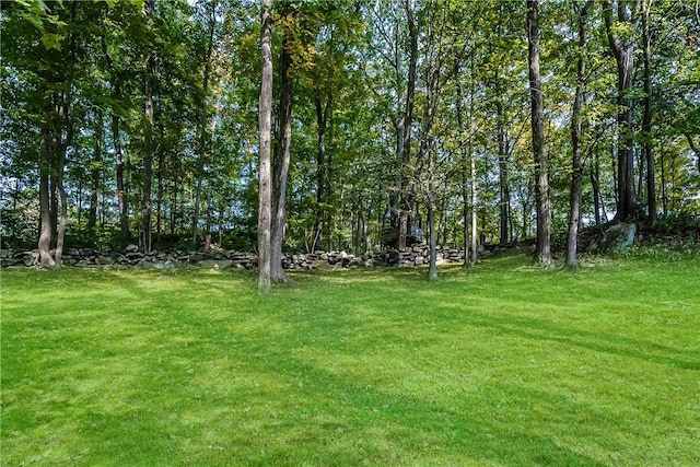 30 Hilltop Rd, Waccabuc, NY 10597 - view of grassy yard