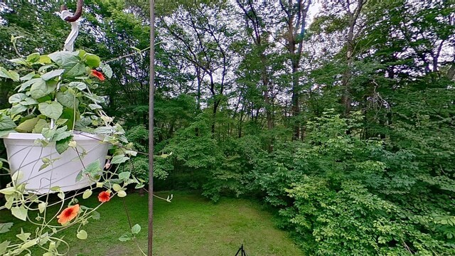 81 Ritter Rd, Stormville, NY 12582 - photo 26
