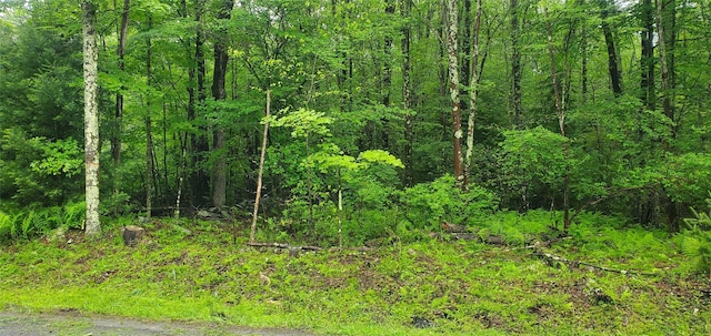 TR105 Cypert Rd, Fallsburg, NY 12733 - photo 1