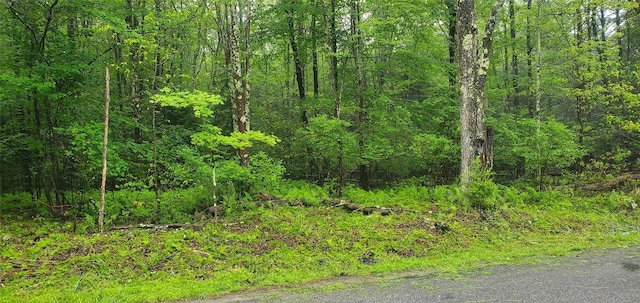 TR105 Cypert Rd, Fallsburg, NY 12733 - photo 2