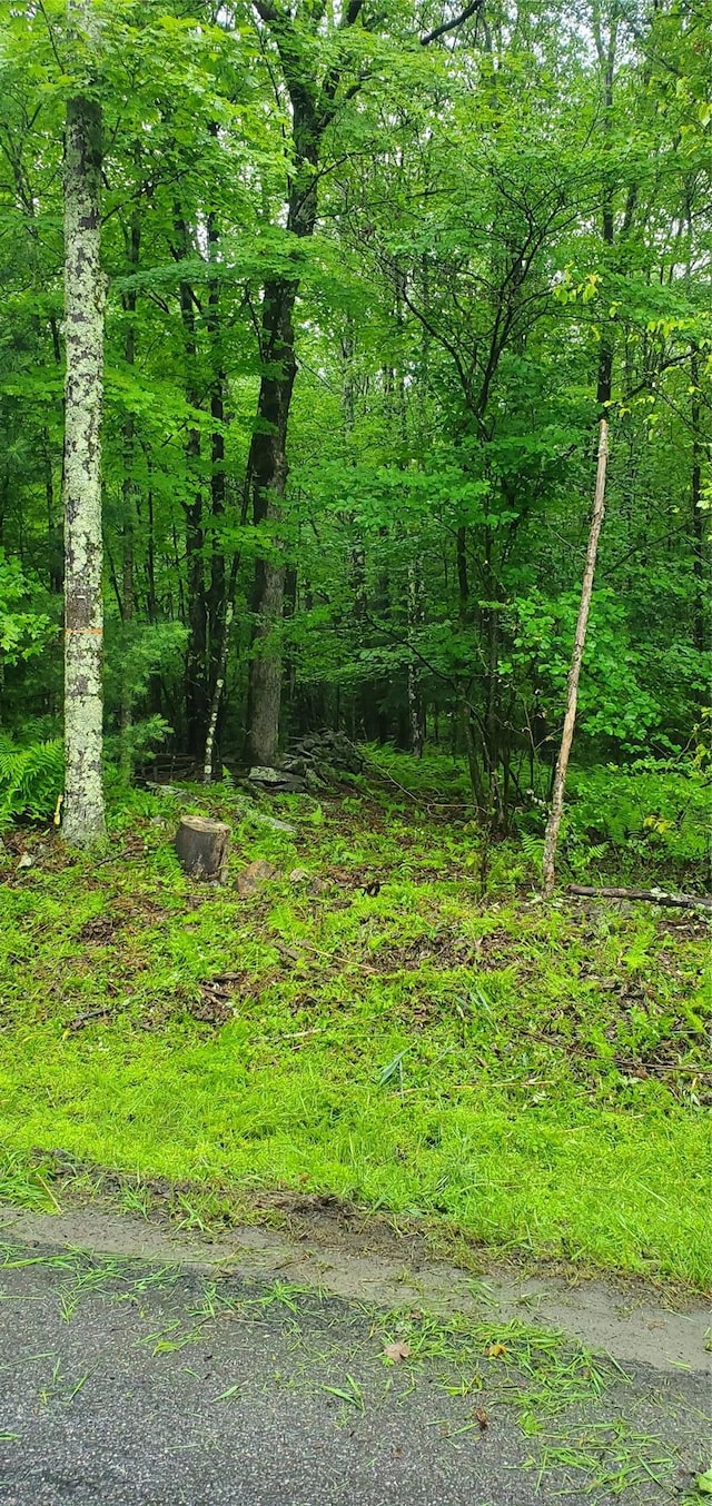 TR105 Cypert Rd, Fallsburg, NY 12733 - photo 3