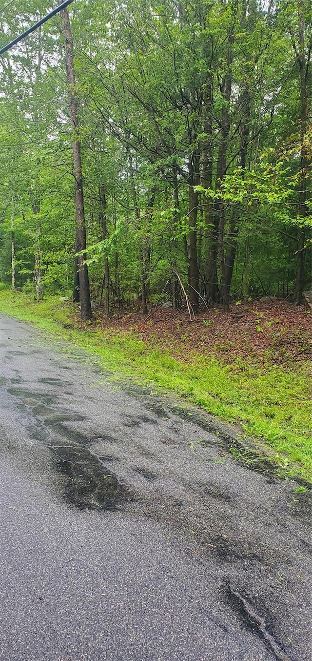 TR105 Cypert Rd, Fallsburg, NY 12733 - photo 4