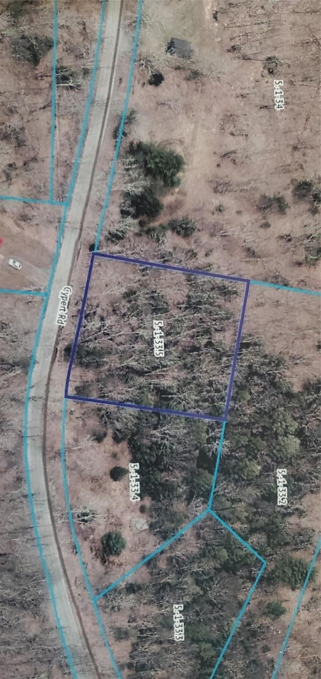 TR105 Cypert Rd, Fallsburg, NY 12733 - photo 5