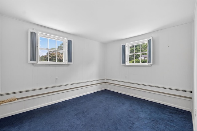 76 Red Mills Rd, Mahopac, NY 10541 - photo 23