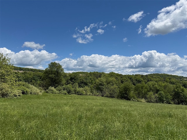 Smithfield Rd, Millerton, NY 12546