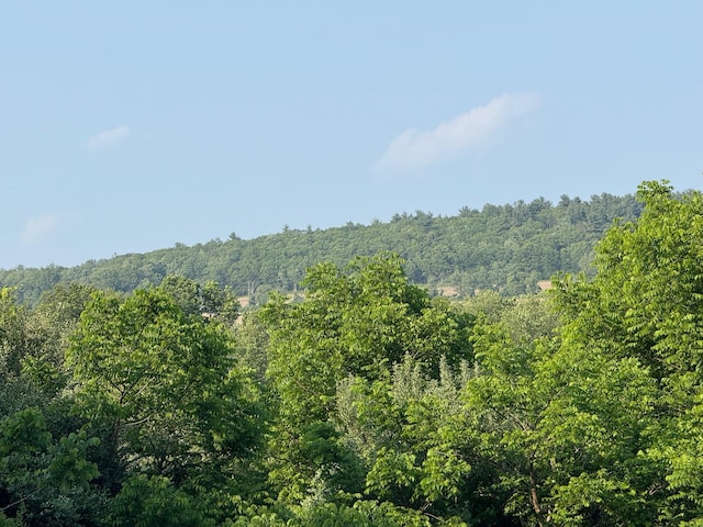 Smithfield Rd, Millerton, NY 12546