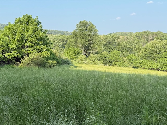 Smithfield Rd, Millerton, NY 12546