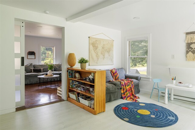 12 Mill St, Chatham, NY 12037 - photo 10