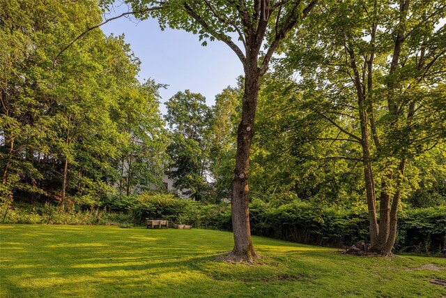 12 Mill St, Chatham, NY 12037 - photo 24