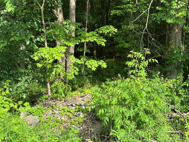 251 Fosler Rd, Plattekill, NY 12528