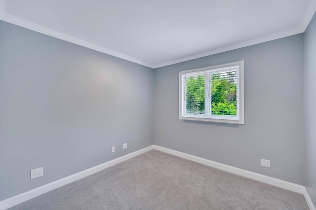 10 Evelyn Dr, Bethpage, NY 11714 - photo 28