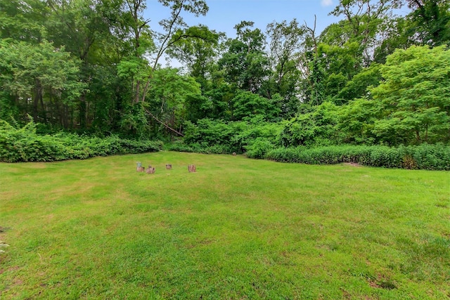 5776 Albany Post Rd, Cortlandt Manor, NY 10567 - view of green lawn