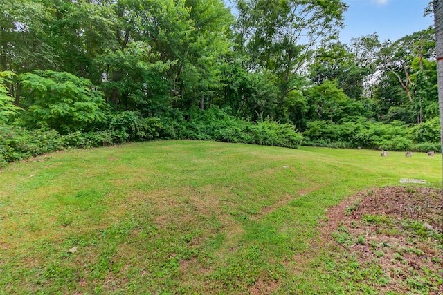 5776 Albany Post Rd, Cortlandt Manor, NY 10567 - view of green lawn