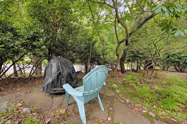 101 Alice St, Port Jefferson, NY 11777 - view of yard