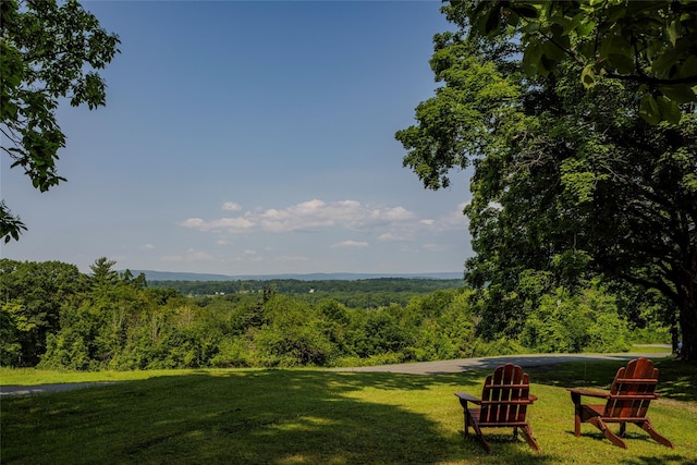 797 Western Rd, Call Listing Agent, NY 12033 - view of grassy yard with a wooded view
