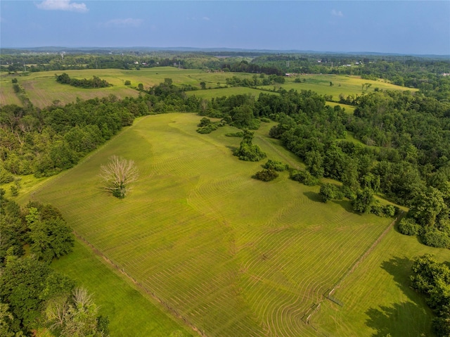 797 Western Rd, Call Listing Agent, NY 12033 - drone / aerial view