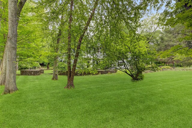 10 N Ln, Chappaqua, NY 10514 - photo 37