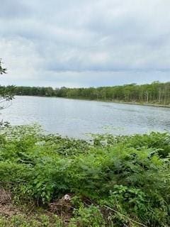 Gardner Dr, Port Jervis, NY 12771 - photo 1