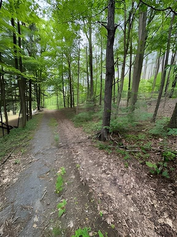 Gardner Dr, Port Jervis, NY 12771 - photo 2