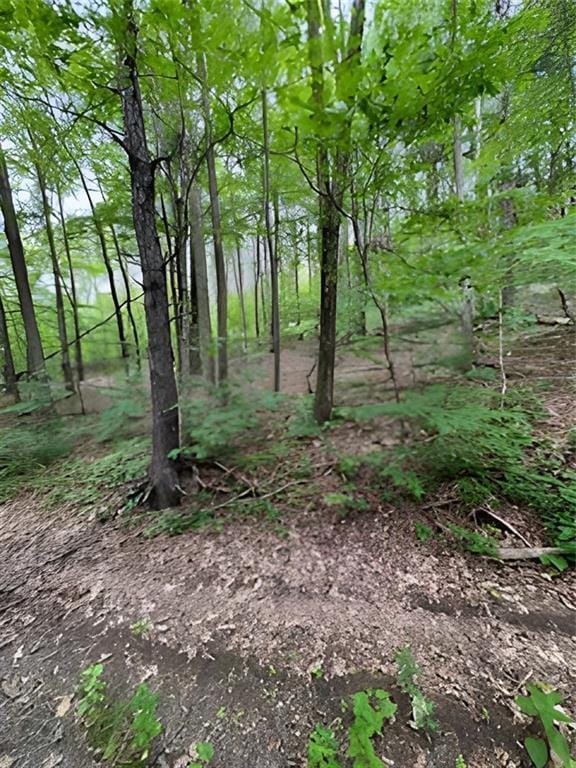 Gardner Dr, Port Jervis, NY 12771 - photo 3