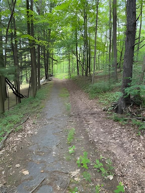 Gardner Dr, Port Jervis, NY 12771 - photo 4