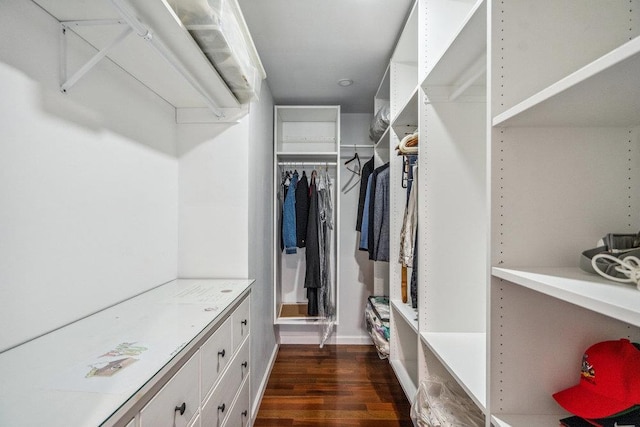43 Hunt Dr, Jericho, NY 11753 - walk in closet featuring dark wood-style flooring