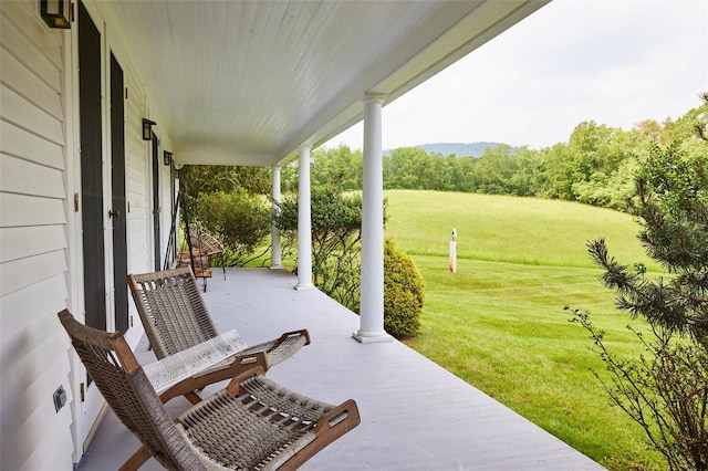 54 Davis Ln, Grahamsville, NY 12740 - porch featuring a lawn