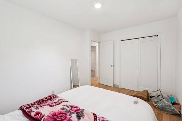 1 Whippoorwill Trl, Monroe, NY 10950 - bedroom with light wood-style floors and a closet