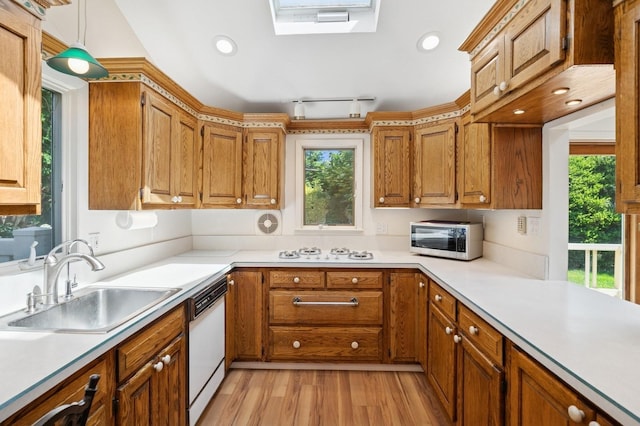19 Evelyn Rd, Plainview, NY 11803 - kitchen featuring white appliances, light wood-style floors, brown cabinetry, light countertops, and a skylight