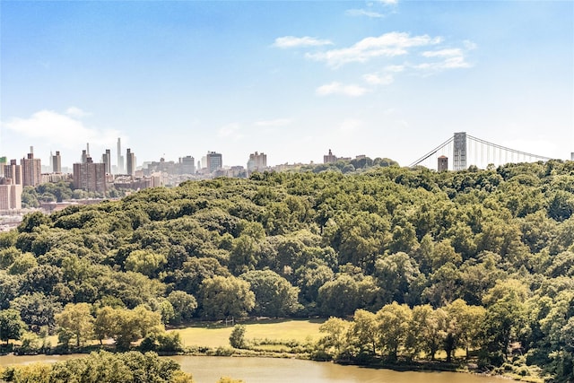 2287 Johnson Ave Unit 17J, Bronx, NY 10463 - view of city skyline featuring a large body of water