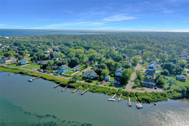 458 Riviera Dr, Mastic Beach, NY 11951 - photo 41