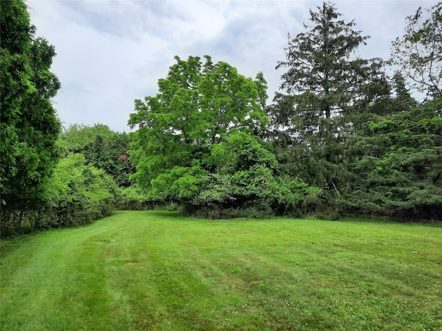 17 Club Ln, Remsenburg, NY 11960 - photo 2