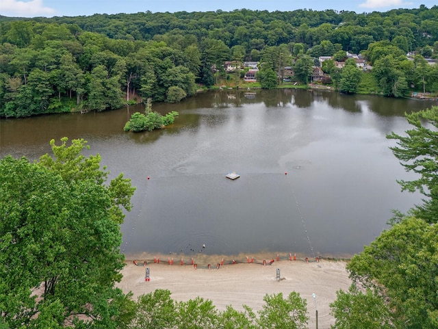 12 Valley Ln, Garrison, NY 10524 - bird's eye view of a large body of water and a forest