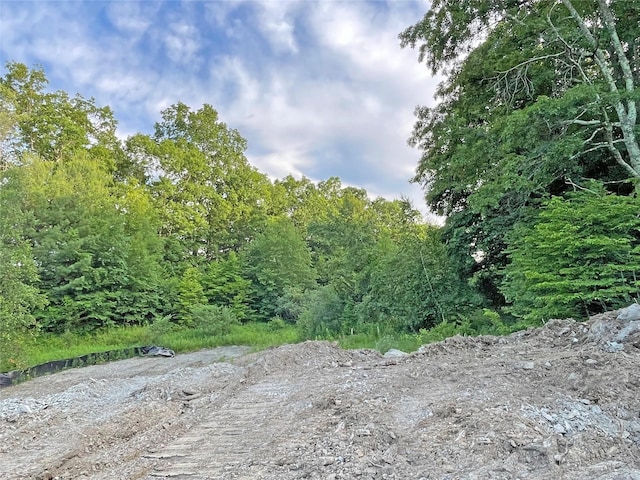 32 Meadow View Ct, Lagrangeville, NY 12540 - photo 18