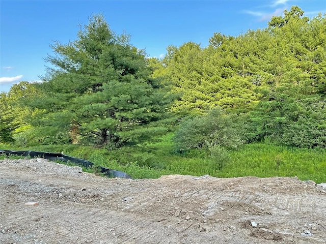 32 Meadow View Ct, Lagrangeville, NY 12540 - photo 19