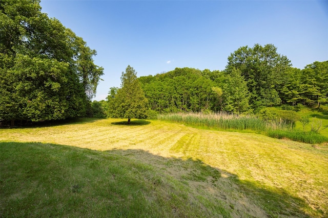 756 Floyd Ackert Rd, New Paltz, NY 12561 - photo 22