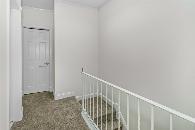 6739 Cooper Ave, Glendale, NY 11385 - corridor with an upstairs landing, carpet flooring, and ornamental molding