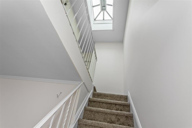 6739 Cooper Ave, Glendale, NY 11385 - staircase with a skylight, a towering ceiling, and carpet