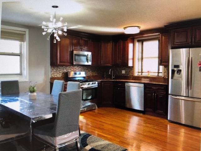 249-29 64th Ave Unit 2, Little Neck, NY 11362 - kitchen with appliances with stainless steel finishes, plenty of natural light, wood finished floors, and a chandelier