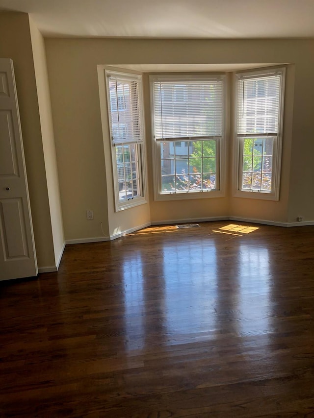 87 Marjorie Ct, Manhasset, NY 11030 - spare room featuring plenty of natural light and dark wood finished floors