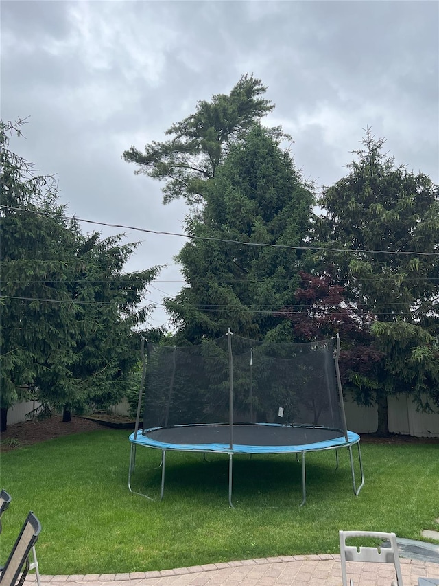 18 Sherwood Ln, Roslyn Heights, NY 11577 - view of green lawn featuring a trampoline
