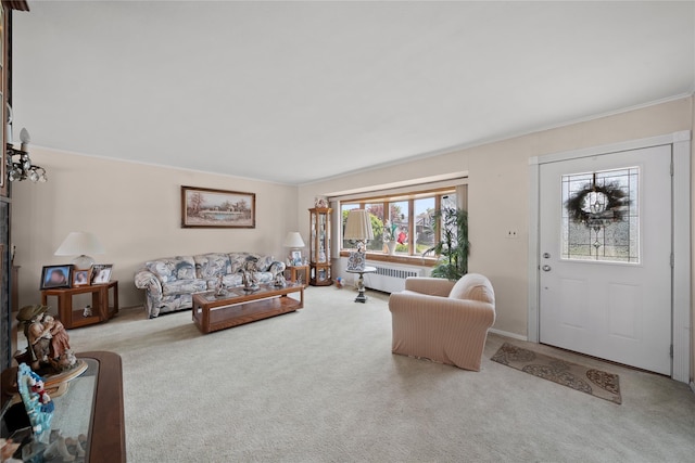 17 Damin Dr S, Farmingdale, NY 11735 - living area with carpet flooring, radiator heating unit, and crown molding