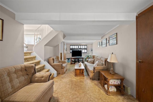 17 Damin Dr S, Farmingdale, NY 11735 - living area with light carpet and stairs