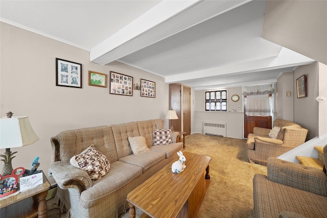 17 Damin Dr S, Farmingdale, NY 11735 - living area with radiator heating unit, carpet, and beamed ceiling