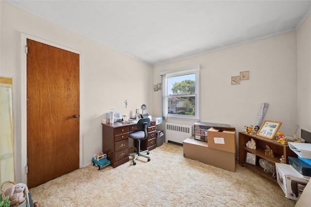 17 Damin Dr S, Farmingdale, NY 11735 - home office featuring radiator and carpet floors