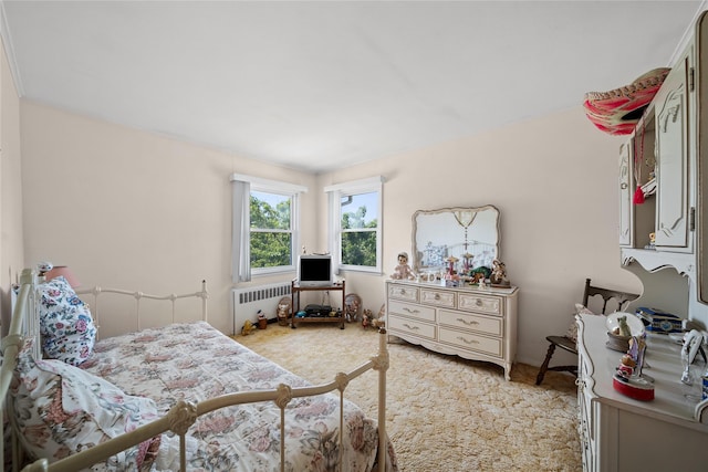 17 Damin Dr S, Farmingdale, NY 11735 - bedroom featuring radiator heating unit and light colored carpet