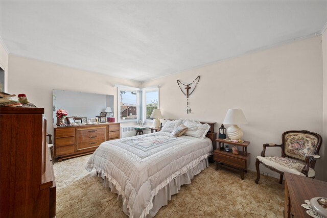 17 Damin Dr S, Farmingdale, NY 11735 - bedroom with radiator heating unit and light carpet