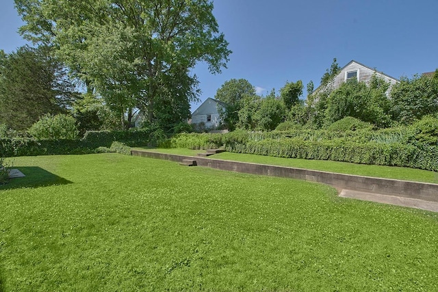 19 Cloverdale Ave, White Plains, NY 10603 - view of grassy yard