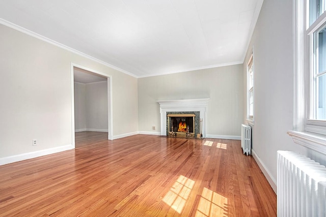 19 Cloverdale Ave, White Plains, NY 10603 - unfurnished living room with radiator, light wood-type flooring, crown molding, and a high end fireplace